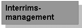 Interrimsmanagement