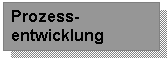 Prozessentwicklung