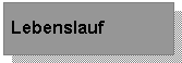 Lebenslauf